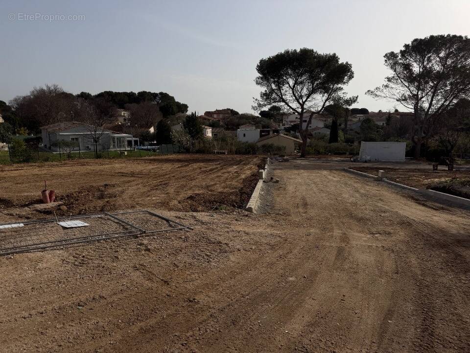Terrain à MUS