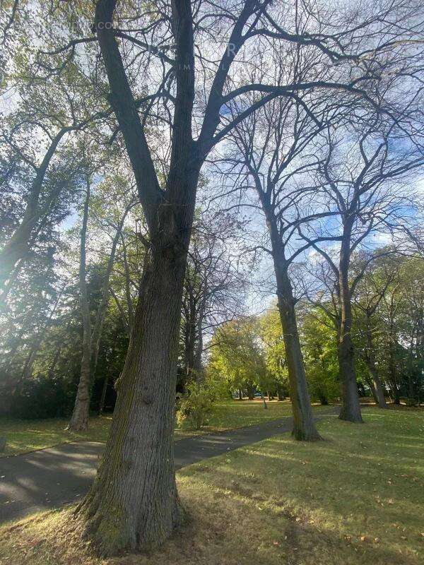 Maison à SAINT-JULIEN-DE-COPPEL