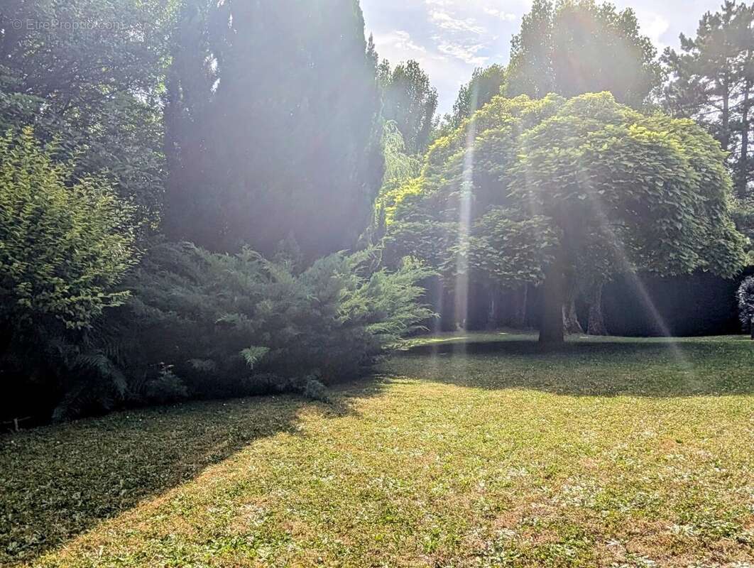 Maison à NOISY-LE-ROI