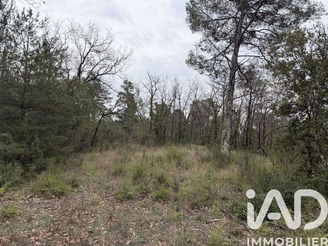 Photo 9 - Terrain à TOURRETTES