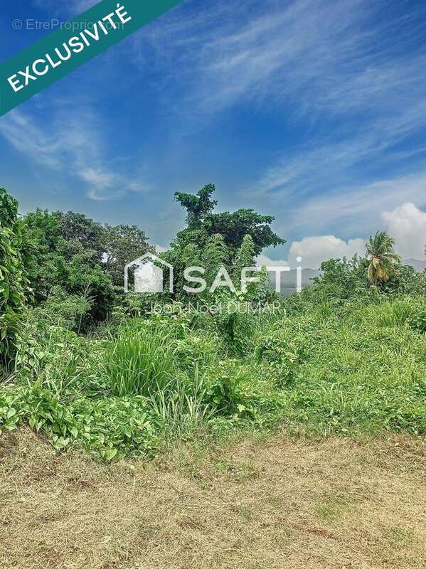 Photo 3 - Terrain à LE FRANCOIS