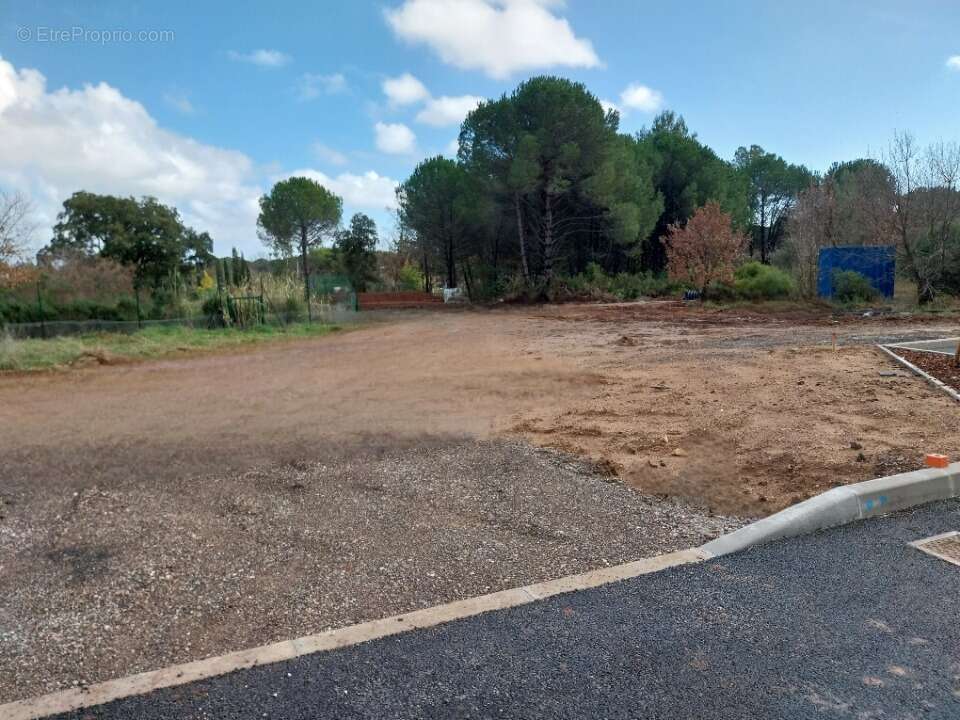 Terrain à PUGET-SUR-ARGENS