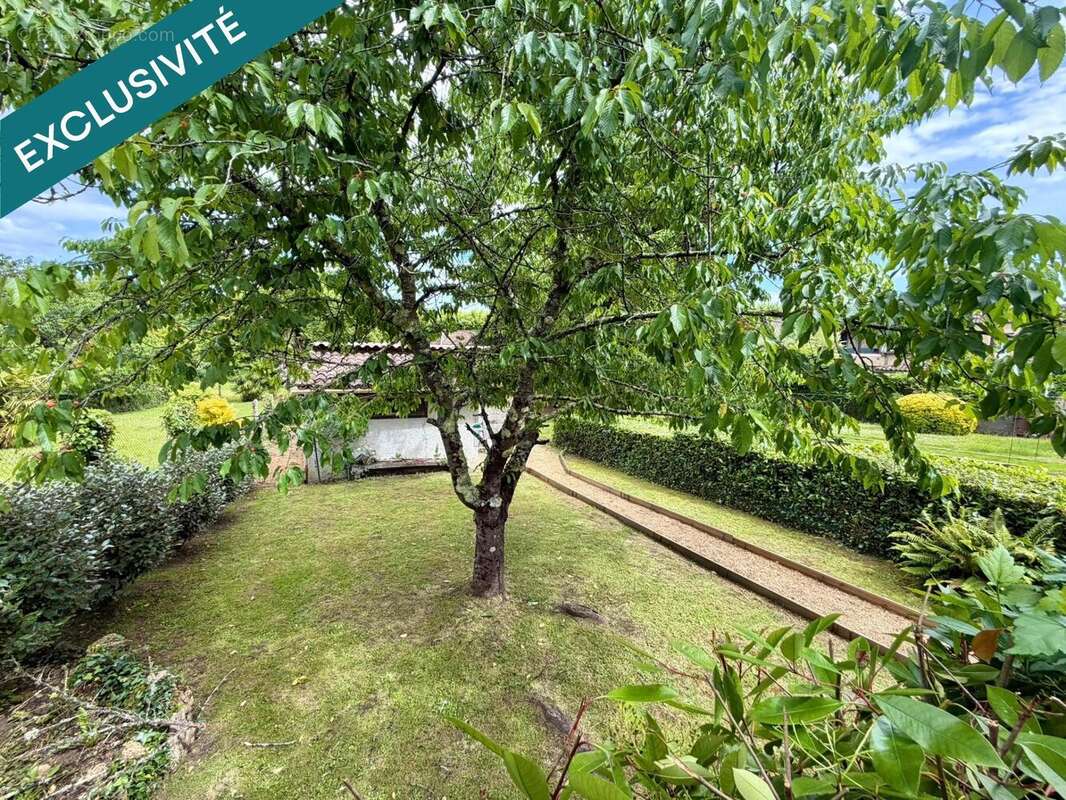 Photo 3 - Maison à ESTANG