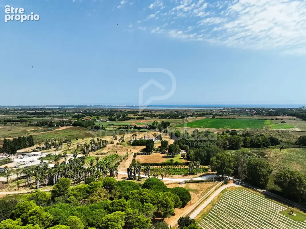 Propriété agricole de 19000m2 sur Saint Cyprien - photo 3