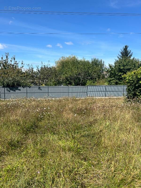 Terrain à CINQ-MARS-LA-PILE