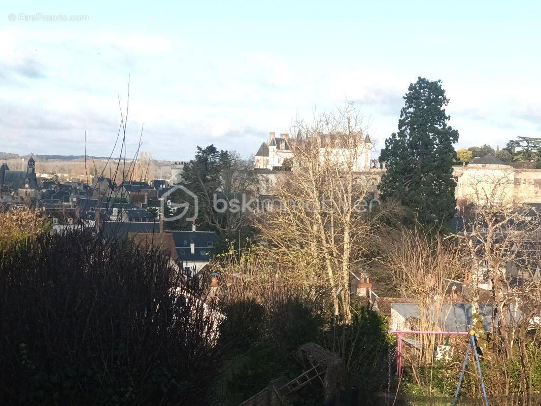 Terrain à AMBOISE