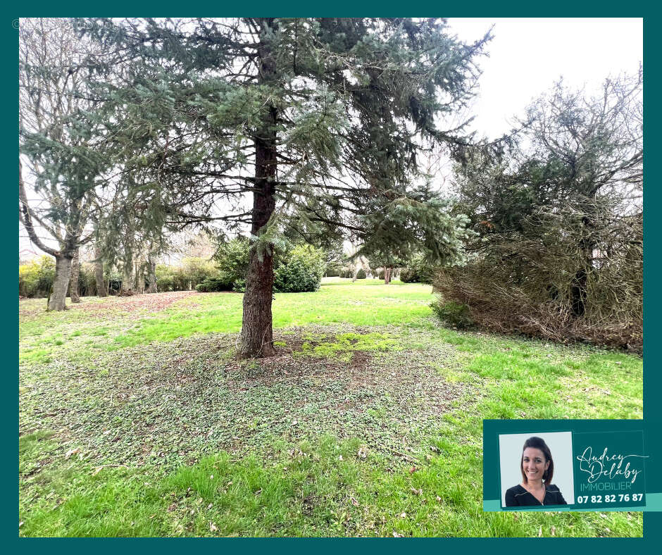 Propriété sur la commune de Loisy sur Marne - photo 5