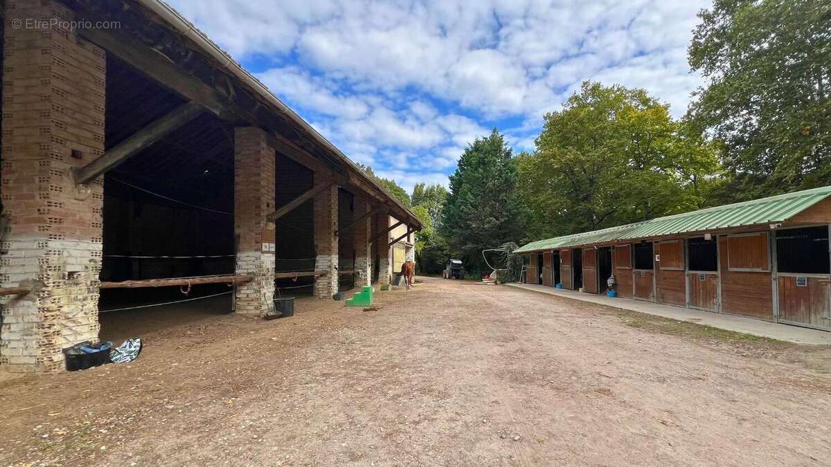 Photo 6 - Maison à CASTELNAUDARY