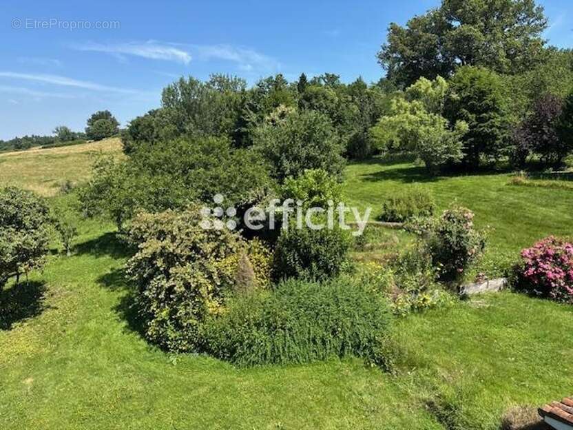 Maison à SERMENTIZON