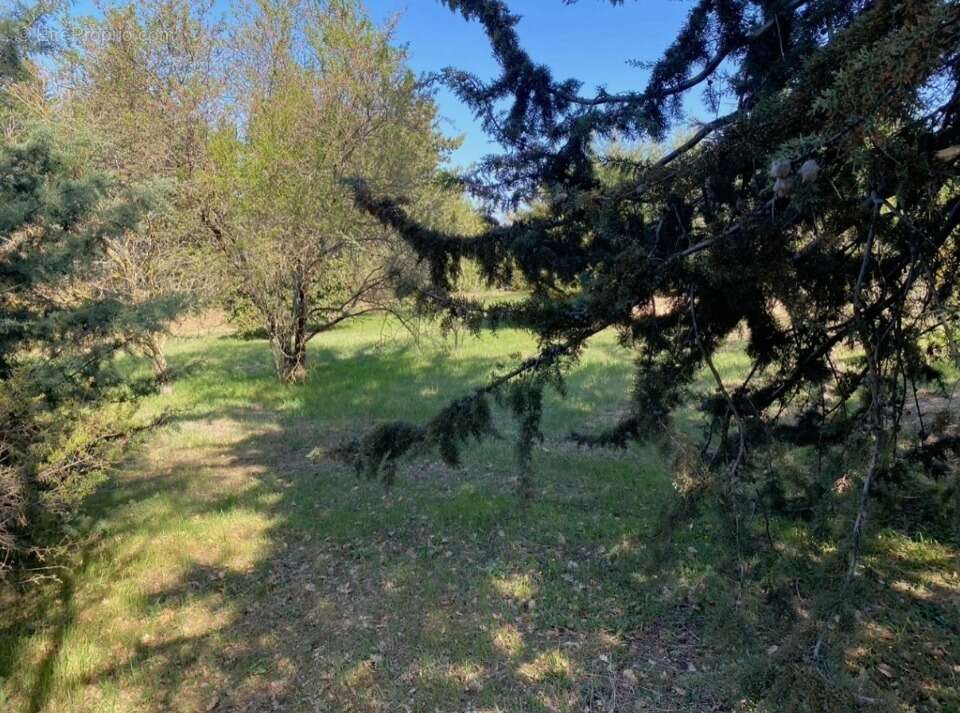 Terrain 2122 m² à Saint-Maximin-La-Sainte-Baume  - photo 3