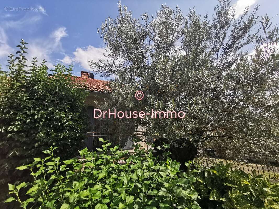 Maison à PONT-DU-CHATEAU