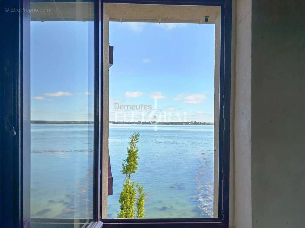 L’île d’Arz – Propriété unique en bord de mer - photo 6