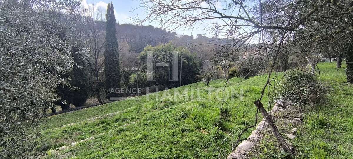 Terrain constructible - photo 2