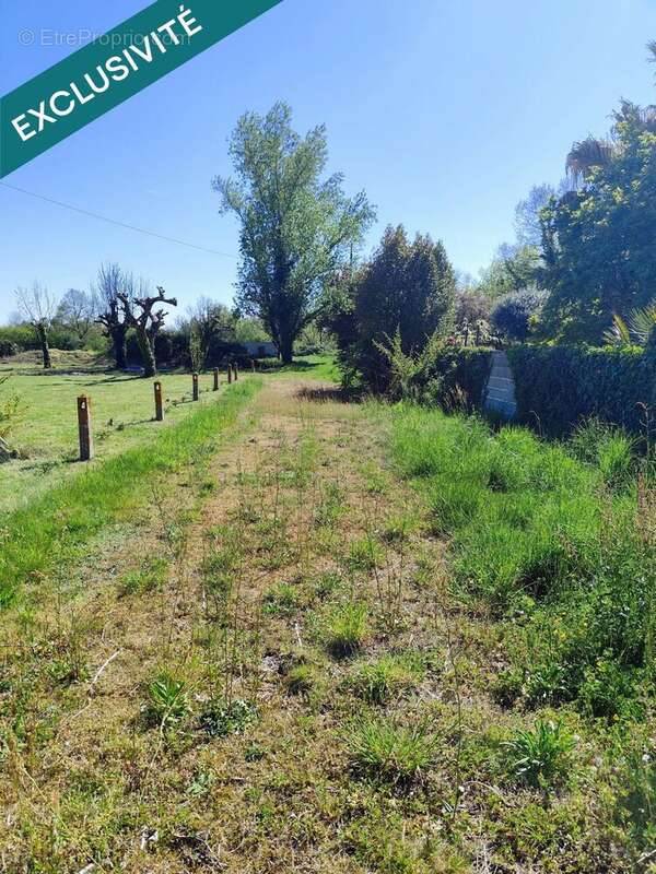 Photo 2 - Terrain à CASTELSARRASIN