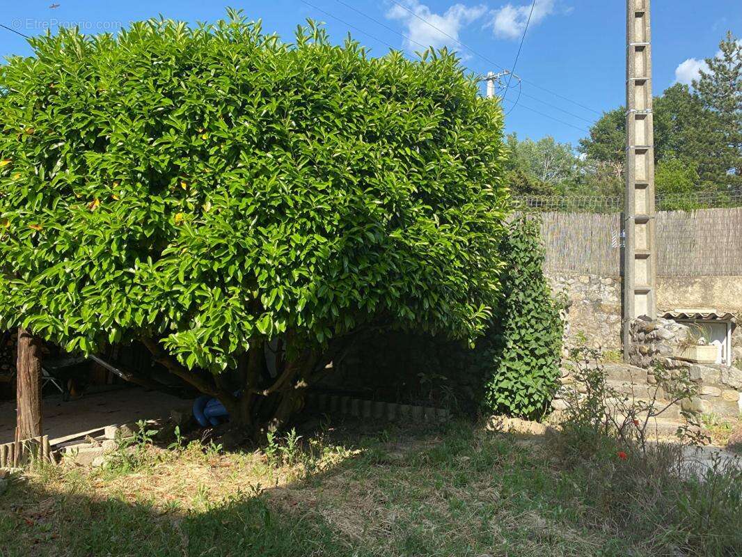 Maison Estoublon 5 pièce(s) 158 m2 - photo 13