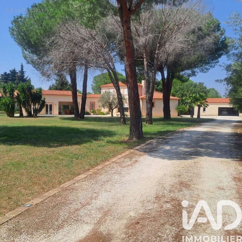 Photo 2 - Maison à MONTESQUIEU-DES-ALBERES