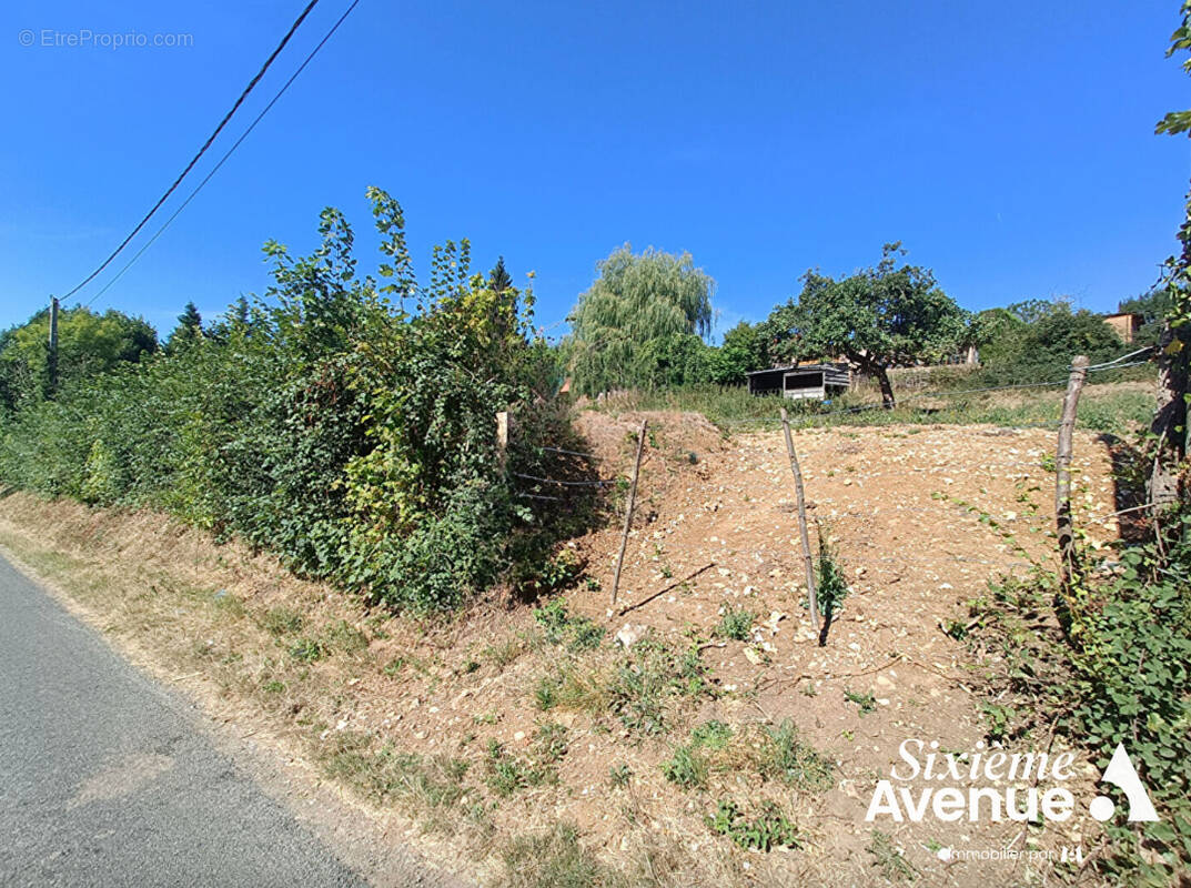 Terrain à WISMES