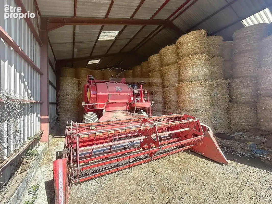 TARN - Propriété agricole spécialisée en élevage ovin - photo 8
