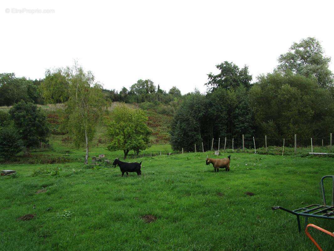 Maison à VILLERS-BOCAGE