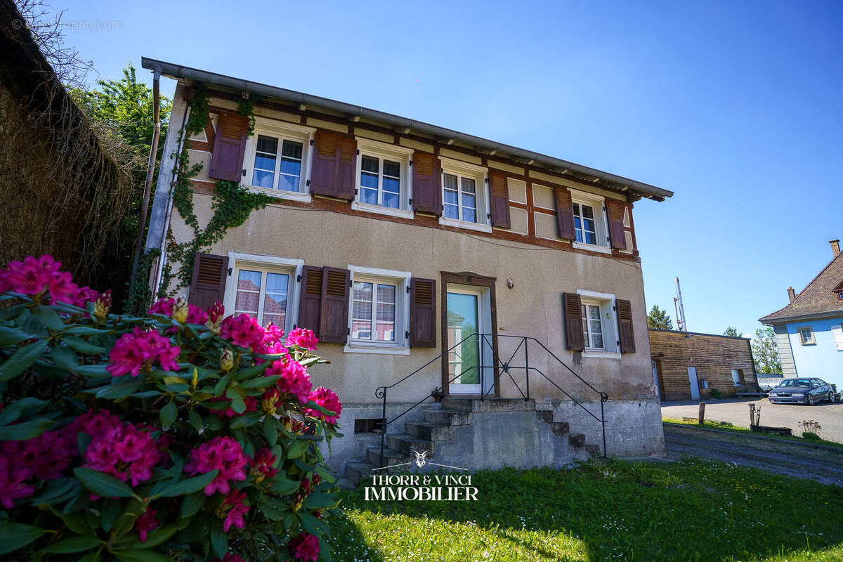 Maison à FRIESEN