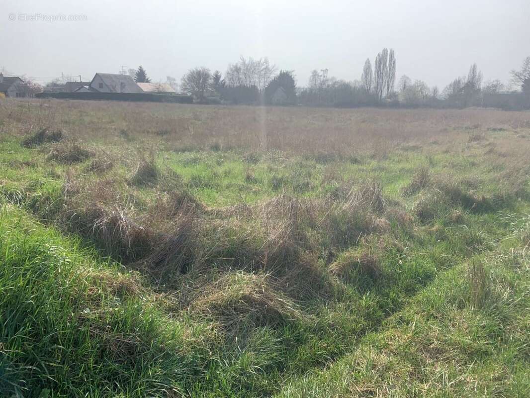 Terrain à POUGUES-LES-EAUX