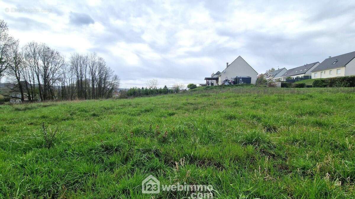 Il est libre de tout constructeur - Terrain à CHAMOUILLE