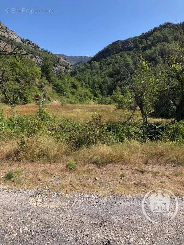 Terrain à CUEBRIS