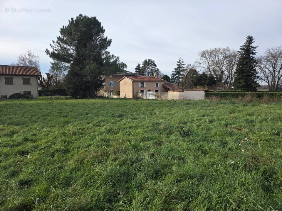 Terrain à MARENNES