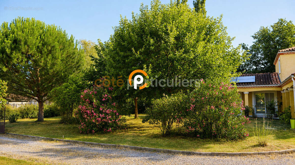 Villa t5 viterbe - photo 2