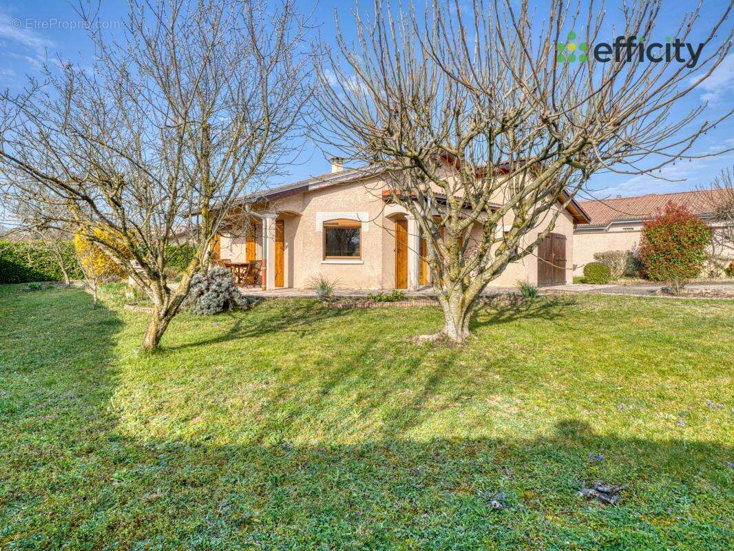 Maison à L'ISLE-D'ABEAU