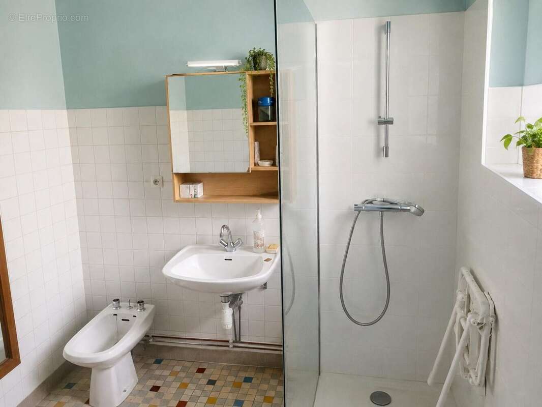 Photo 5