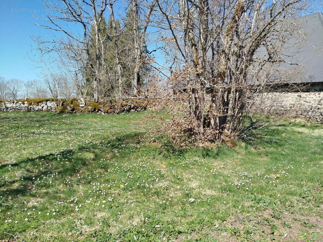 Maison à EGLISENEUVE-D&#039;ENTRAIGUES