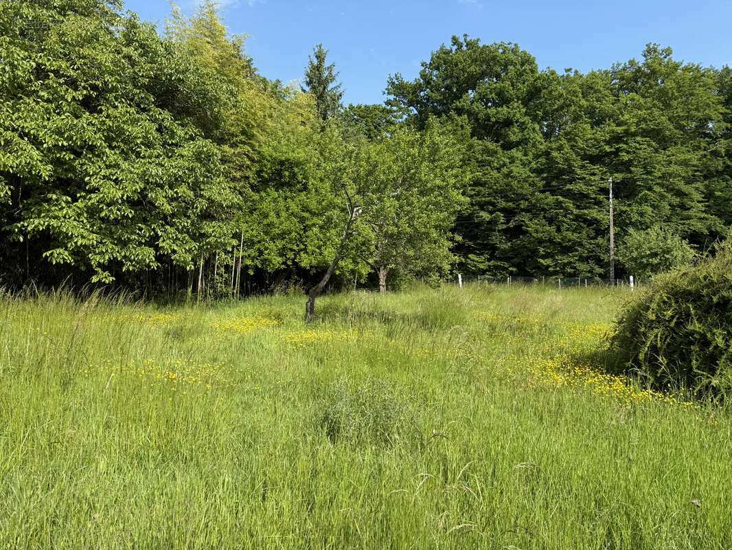 Maison à LA VENDUE-MIGNOT