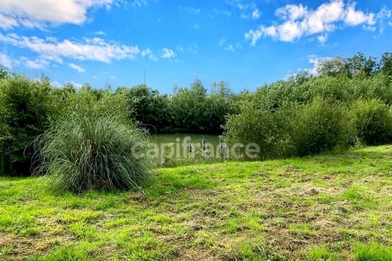 Terrain à BAIN-DE-BRETAGNE