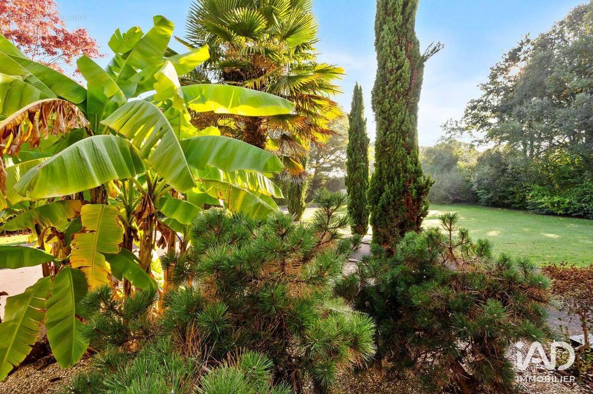 Photo 6 - Maison à VIGNEUX-DE-BRETAGNE