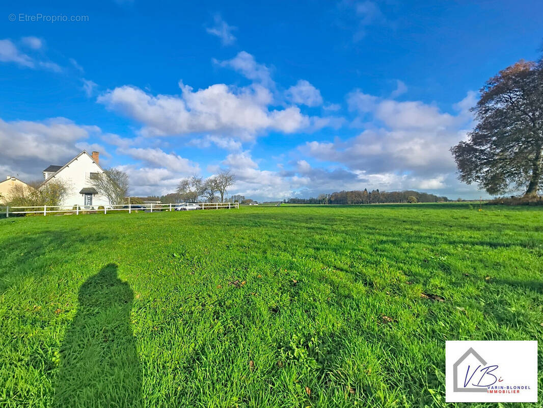 Terrain à SAINT-NICOLAS-DE-LA-HAIE