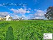 Terrain à SAINT-NICOLAS-DE-LA-HAIE