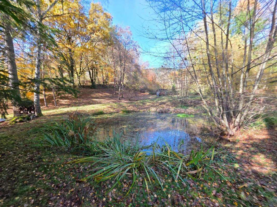Maison à BITSCHWILLER-LES-THANN