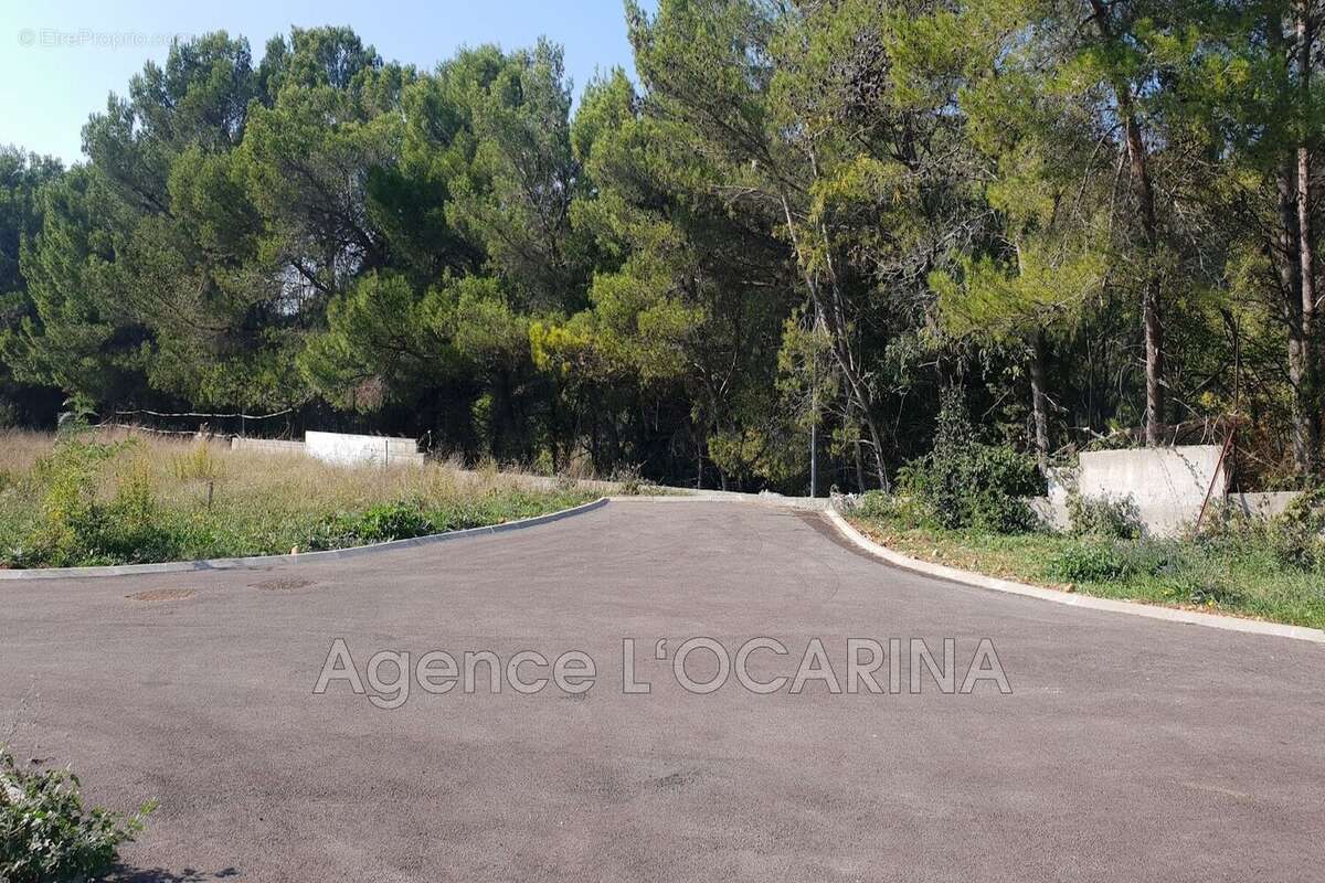 Terrain à LE CANNET