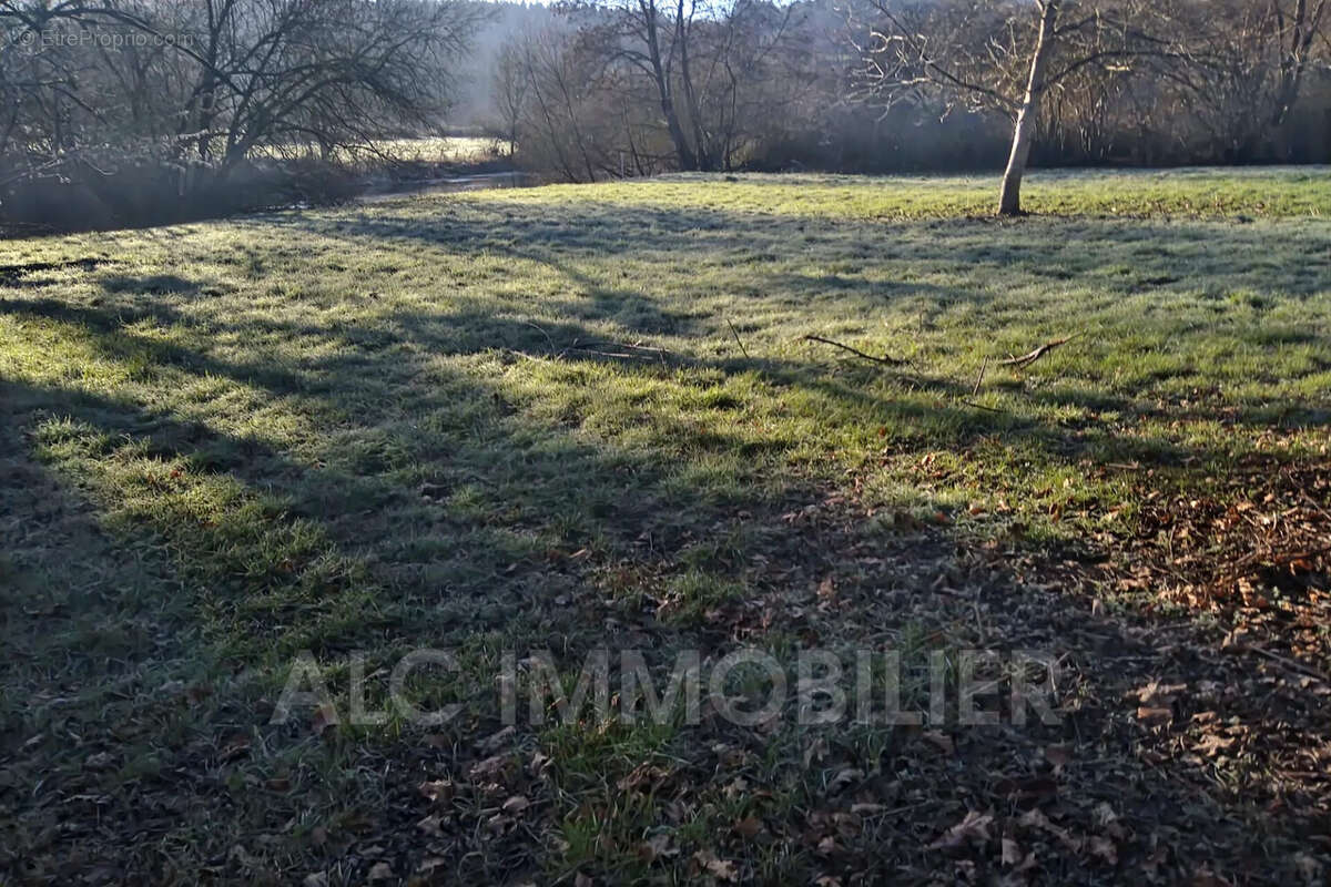 Terrain à SAINT-LEONARD-DES-BOIS