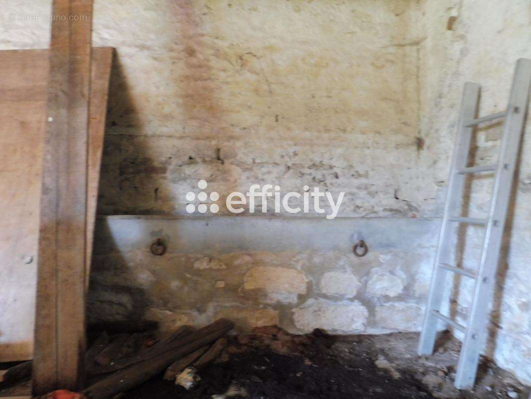 Maison 200 m² à Cire-D'aunis  - photo 3