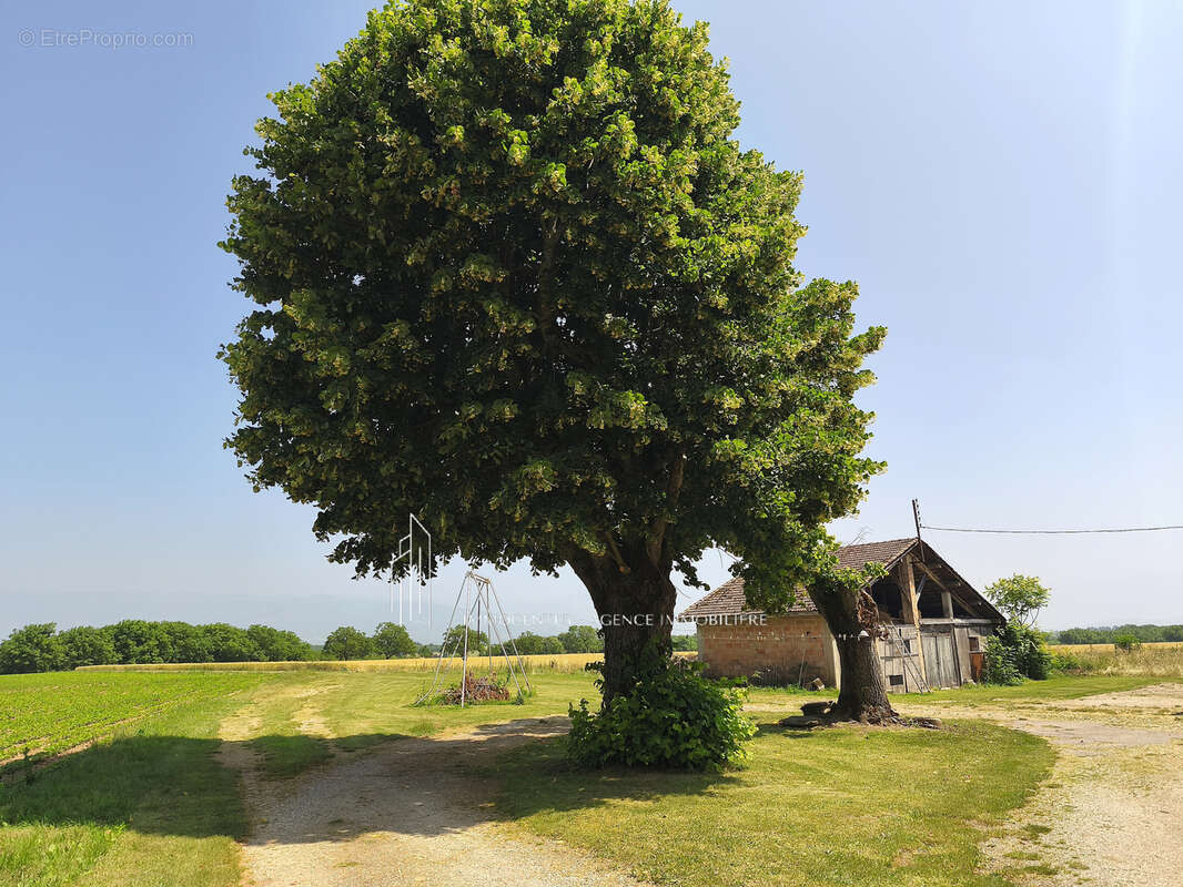Maison à SAINT-BONNET-DE-CHAVAGNE