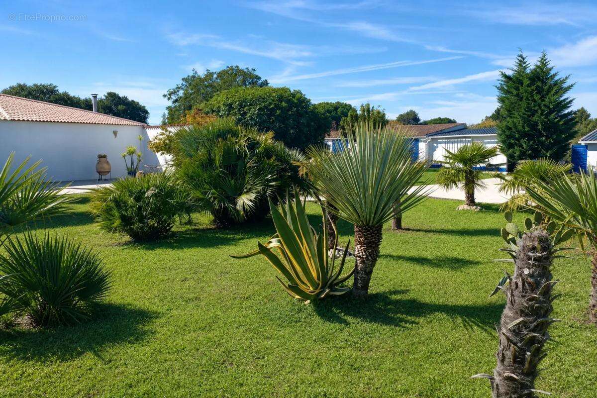 Maison d'exception de 307 m² avec piscine - photo 16