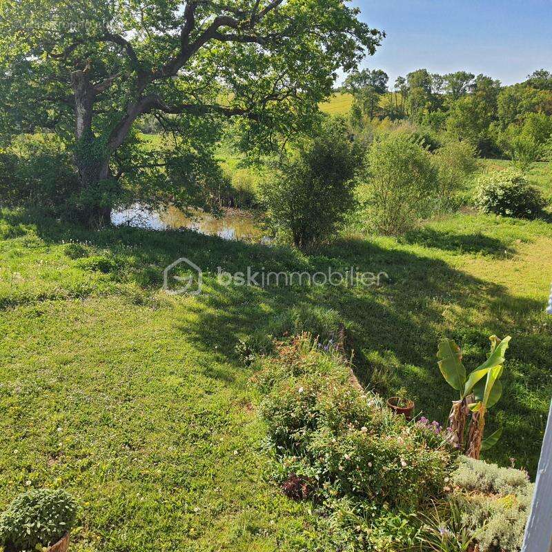 Proche Eauze - Propriété viticole de 25ha - photo 2