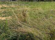 Terrain à MARSAIS-SAINTE-RADEGONDE