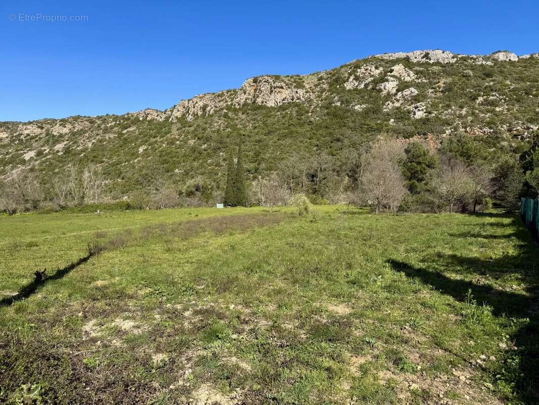 Terrain à FEUILLA