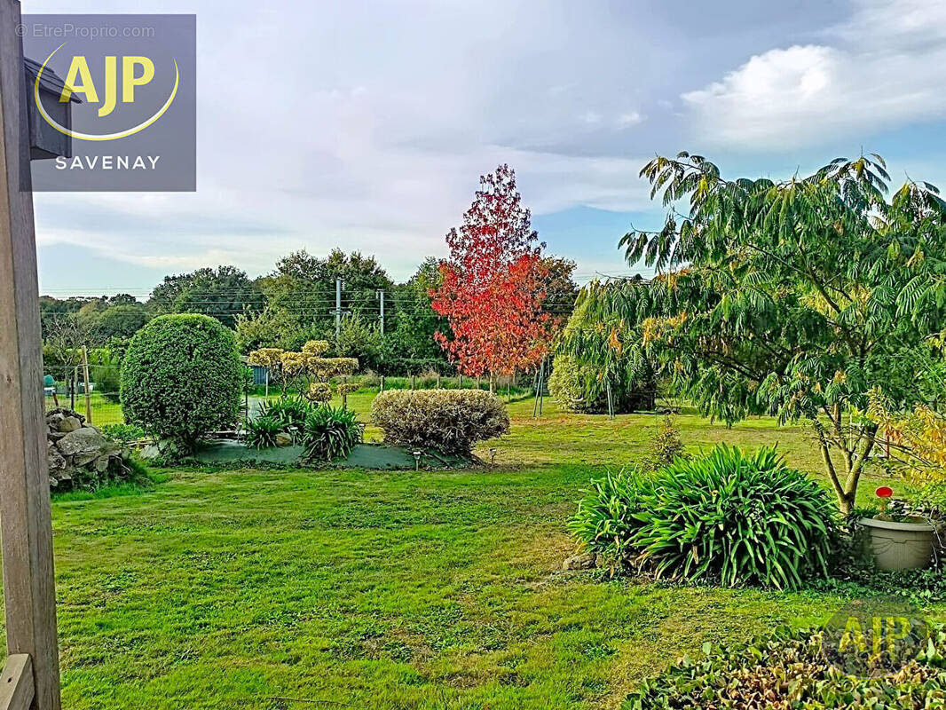 Terrain à SAVENAY