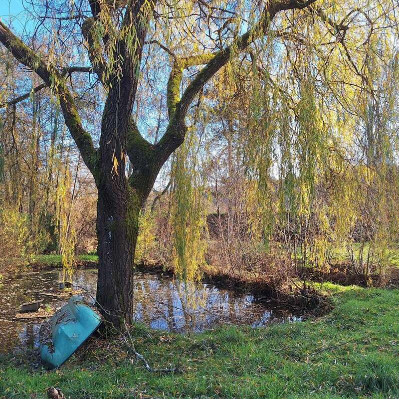 Photo 2 - Maison à SAINT-SERNIN-DU-BOIS