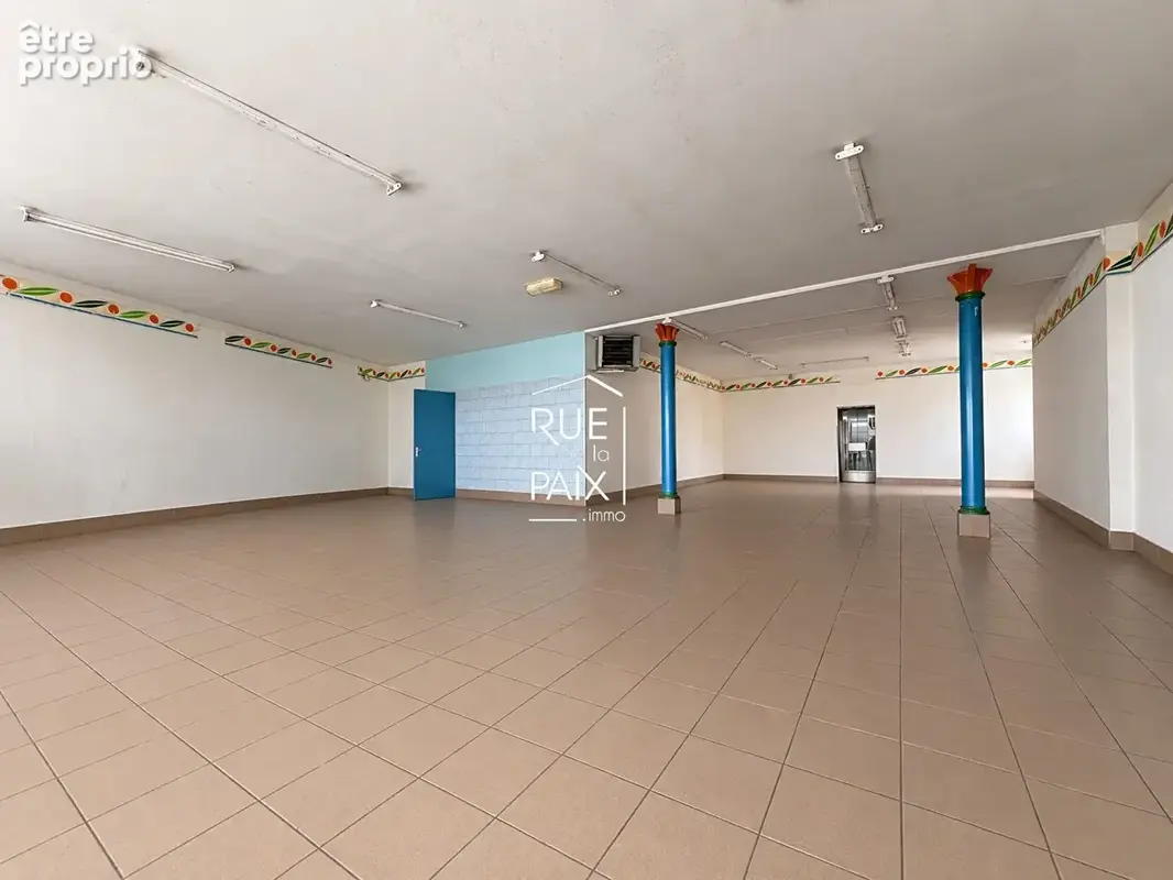Immeuble Pamproux 5 pièces 240  m2 - photo 2