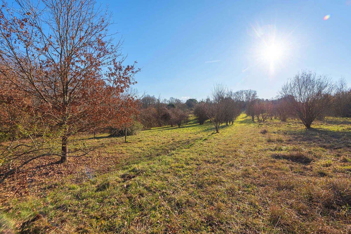 Proche commerces - maison 5 chambres - 250 m2 - sur 7.55 ha - photo 5